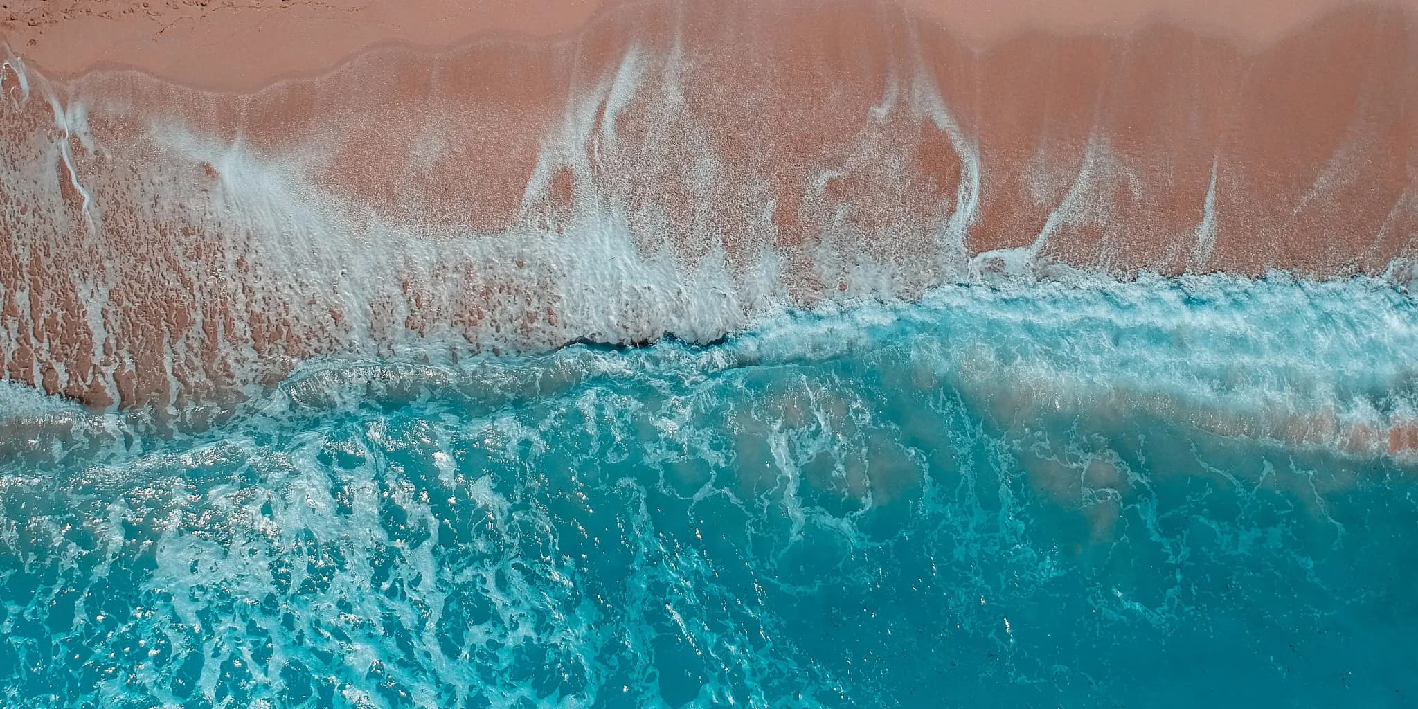 Begin Your Next Chapter Today