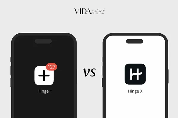 Hinge+ or HingeX? We Compare Cost, Features And More!