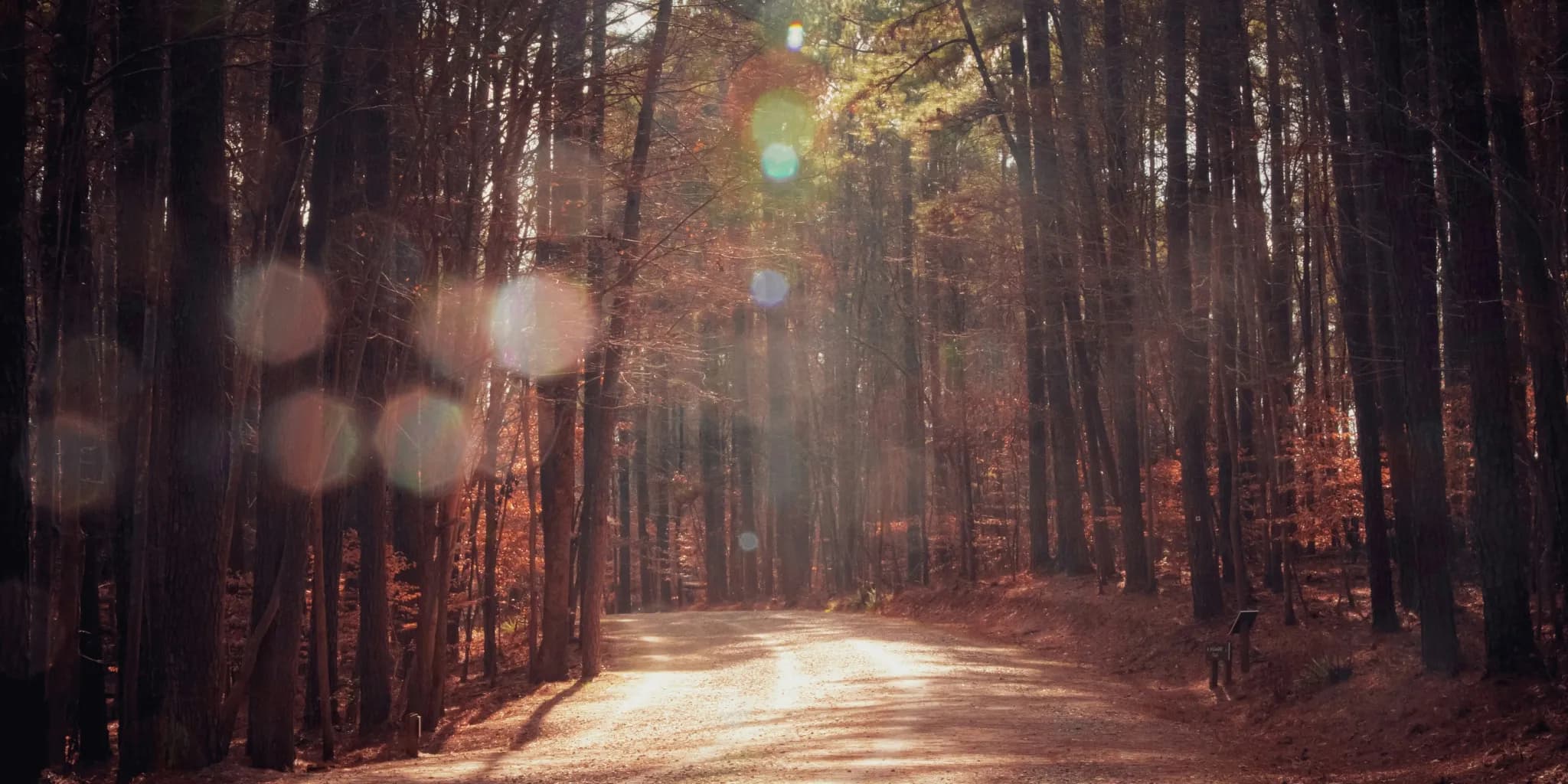 Your <b>North Carolina Love Story</b> Begins Here
