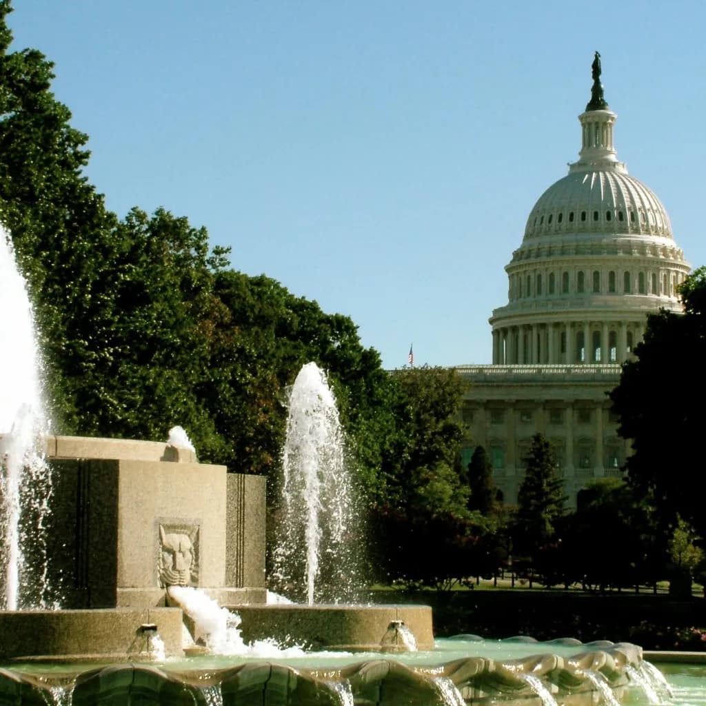 #1 DC Matchmaker for Successful Professionals